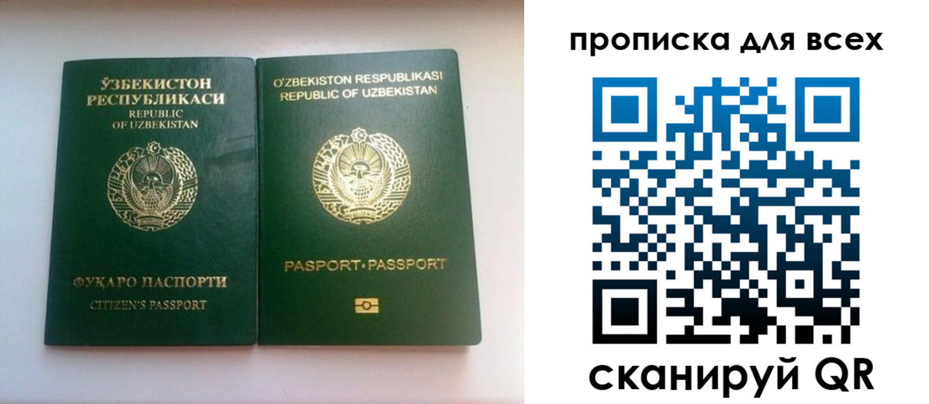 прописка для школы в Славянске-на-Кубани